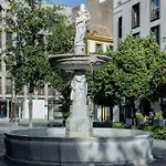 Center Magdalena Premium *